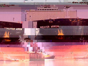 MV_Weaver_Arrow-port_alice.10.jpeg