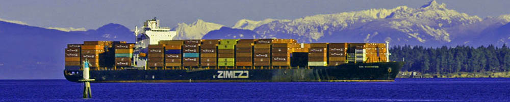 Trouble prone container ship, Zim Kingston at anchor in Nanaimo, BC, Canada. Picture by M. Leduc, January 09, 2022.