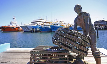 Port of Fremantle, an important fishing port
