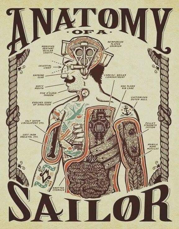Anatomy of a sailor