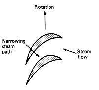 Reaction Type Rotor blades for a steam turbine